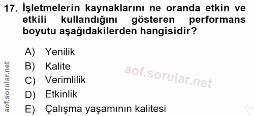 17. soru: İşletmelerin kaynaklarını ne oranda etkin ve etkili kullandığını gösteren performans boyutu aşağıdakilerden hangisidi…