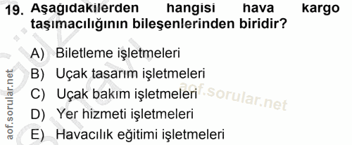 19. soru: Aşağıdakilerden hangisi hava Kargo taşımacılığının bileşenlerinden biridir? A) Biletleme işletmeleri B) Uçak tasarım…