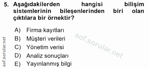 5. soru: Aşağıdakilerden hangisi bilişim sistemlerinin bileşenlerinden biri olan çıktılara bir örnektir? A) Firma kayıtları B)…