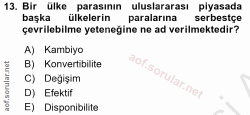 13. soru: Bir ülke parasının uluslararası piyasada başka ülkelerin paralarına serbestçe çevrilebilme yeteneğine ne ad verilmekt…