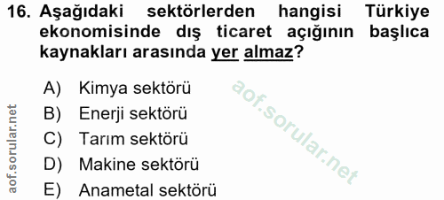 16. soru: Aşağıdaki sektörlerden hangisi Türkiye ekonomisinde dış ticaret açığının başlıca kaynakları arasında yer almaz? A) Ki…