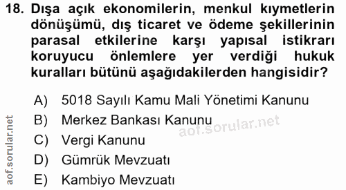 18. soru: Dışa açık ekonomilerin, menkul kıymetlerin dönüşümü, dış ticaret ve ödeme şekillerinin parasal etkilerine karşı yapıs…