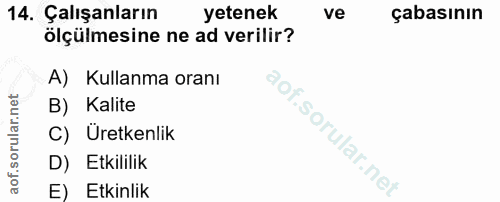 14. soru: Çalışanların yetenek ve çabasının ölçülmesine ne ad verilir? A) Kullanma oranı B) Kalite C) Uretkenlik D) Etkililik E…
