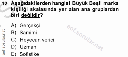 12. soru: Aşağıdakilerden hangisi Büyük Beşli marka kişiliği kalasında yer alan ana gruplardan biri değildir? A) Gerçekçi B) Sa…
