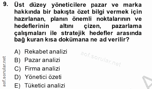 9. soru: Ust düzey yöneticilere pazar ve marka hakkında bir bakışta özet bilgi vermek için hazırlanan, planın önemli noktaları…