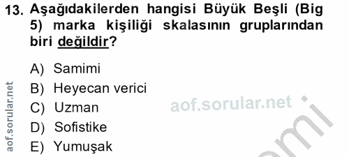 13. soru: Aşağıdakilerden hangisi Büyük Beşli (Big 5) marka kişiliği kalasının gruplarından biri değildir? A) Samimi B) Heyecan…