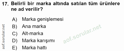 17. soru: Belirli bir marka altında satılan tüm ürünlere ne ad verilir? A) Marka genişlemesi B) Ana marka C) Alt-marka D) Marka…