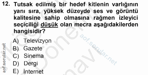 12. soru: Tutsak edilmiş bir hedef kitlenin varlığının yanı sıra, yüksek düzeyde ses ve görüntü kalitesine sahip olmasına rağme…