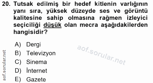20. soru: Tutsak edilmiş bir hedef kitlenin varlığının yanı sıra, yüksek düzeyde ses ve görüntü kalitesine sahip olmasına rağme…