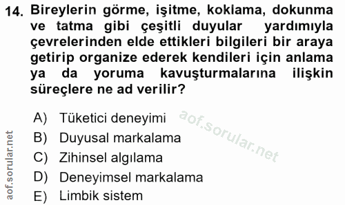 14. soru: Bireylerin görme, işitme, koklama, dokunma ve tatma gibi çeşitli duyulara l yardımıyla çevrelerinden elde ettikleri b…