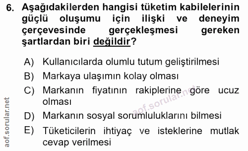 6. soru: Aşağıdakilerden hangisi tüketim kabilelerinin güçlü oluşumu için ilişki ve deneyim çerçevesinde gerçekleşmesi gereken…