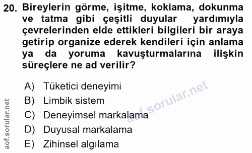 20. soru: Bireylerin görme, işitme, koklama, dokunma ve tatma gibi çeşitli duyular yardımıyla çevrelerinden elde ettikleri bilg…