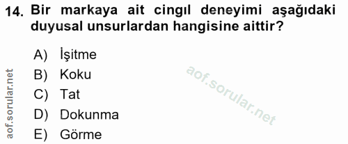 14. soru: Bir markaya ait cingıl deneyimi aşağıdaki duyusal unsurlardan hangisine aittir? A) Işitme B) Koku C) Tat D) Dokunma E…