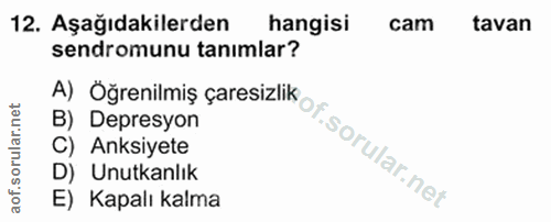 12. soru: Aşağıdakilerden hangisi cam tavan sendromunu tanımlar? B) Depresyon C) Anksiyete D) Unutkanlık E) Kapalı kalma