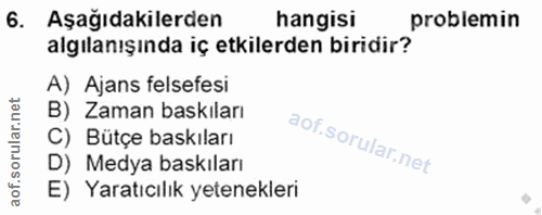 6. soru: Aşağıdakilerden hangisi problemin algılanışında iç etkilerden biridir? A) Ajans felsefesi B) Zaman baskıları C) Bütçe…