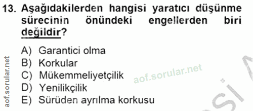 13. soru: Aşağıdakilerden hangisi yaratıcı düşünme sürecinin önündeki engellerden biri değildir? A) Garantici olma B) Korkular…