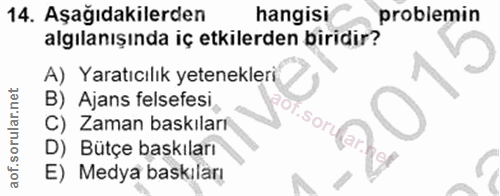 14. soru: Aşağıdakilerden hangisi problemin algılanışında iç etkilerden biridir? A) Yaratıcılık yetenekleri B) Ajans felsefesi…