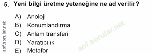 5. soru: Yeni bilgi üretme yeteneğine ne ad verilir? A) Anoloji B) Konumlandırma C) Anlam transferi D) Yaratıcılık E) Metafor