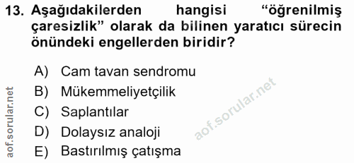 13. soru: Aşağıdakilerden hangisi "öğrenilmiş çaresizlik" olarak da bilinen yaratıcı sürecin önündeki engellerden biridir? A) C…