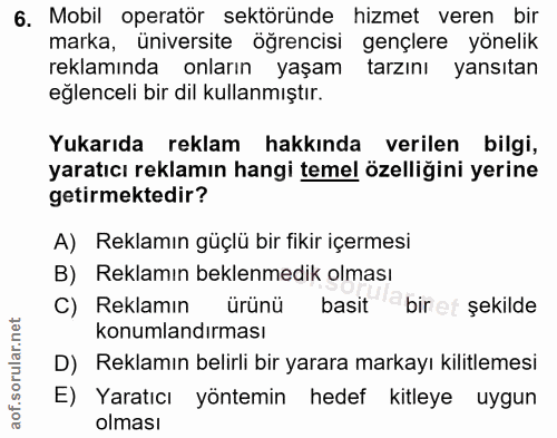 6. soru: Mobil operatör sektöründe hizmet veren bir marka, üniversite öğrencisi gençlere yönelik reklamında onların yaşam tarz…