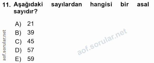 11. soru: Aşağıdaki sayılardan hangisi bir asal sayıdır? A) 21 B) 39 C) 45 D) 57 E) 59