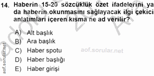 14. soru: Haberin 15-20 sözcüklük özet ifadelerini ya da haberin okunmasını sağlayacak ilgi çekici anlatımları içeren kısma ne…