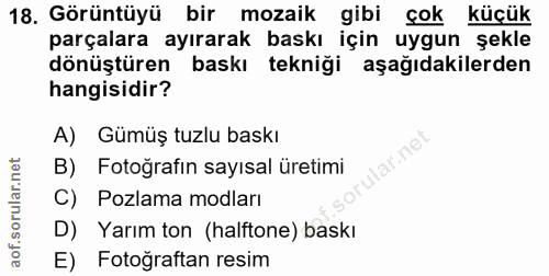 18. soru: Görüntüyü bir mozaik gibi çok küçük parçalara ayırarak baskı için uygun şekle dönüştüren baskı tekniği aşağıdakilerde…
