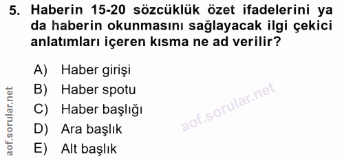 5. soru: Haberin 15-20 sözcüklük özet ifadelerini ya da haberin okunmasını sağlayacak ilgi çekici anlatımları içeren kısma ne…