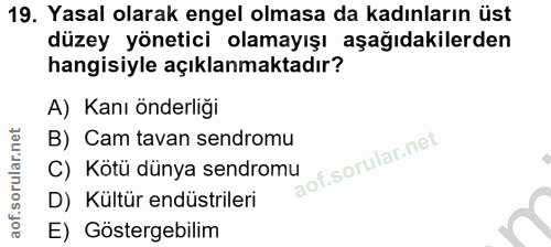 19. soru: Yasal olarak engel olmasa da kadınların üst düzey yönetici olamayışı aşağıdakilerden hangisiyle açıklanmaktadır? A) K…