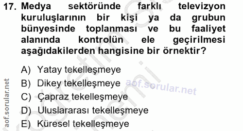 17. soru: Medya sektöründe farklı televizyon kuruluşlarının bir kişi ya da grubun bünyesinde toplanması ve bu faaliyet alanında…