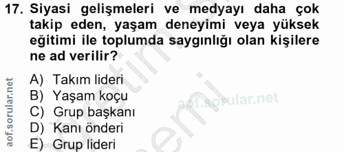 17. soru: Siyasi gelişmeleri ve medyayı daha çok takip eden, yaşam deneyimi veya yüksek eğitimi ile toplumda saygınlığı olan ki…