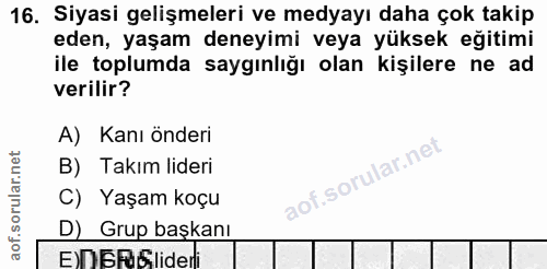 16. soru: Siyasi gelişmeleri ve medyayı daha çok takip eden, yaşam deneyimi veya yüksek eğitimi ile toplumda saygınlığı olan ki…