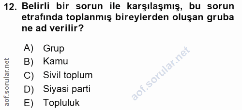 12. soru: Belirli bir sorun ile karşılaşmış, bu sorun etrafında toplanmış bireylerden oluşan gruba ne ad verilir? A) Grup B) Ka…