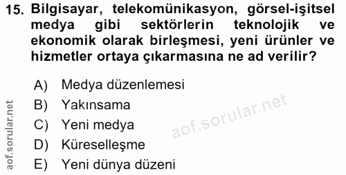 15. soru: Bilgisayar, telekomünikasyon, görsel-işitsel medya gibi sektörlerin teknolojik ve ekonomik olarak birleşmesi, yeni ür…
