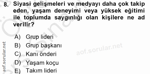 8. soru: Siyasi gelişmeleri ve medyayı daha çok takip eden, yaşam deneyimi veya yüksek eğitimi ile toplumda saygınlığı olan ki…