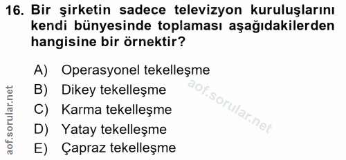 16. soru: Bir şirketin sadece televizyon kuruluşlarını kendi bünyesinde toplaması aşağıdakilerden hangisine bir örnektir? A) Op…