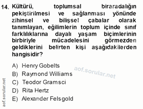 14. soru: Kültüru, toplumsal biraradalığın pekiştirilmesi ve sağlanması yönünde zihinsel ve bilişsel çabalar olarak tanımlayan,…