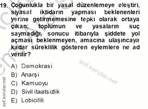 19. soru: Çoğunlukla bir yasal düzenlemeye eleştiri, siyasal iktidarın yapması beklenenleri yerine getirmemesine tepki olarak o…