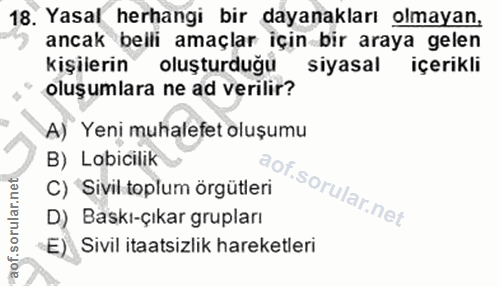 18. soru: Yasal herhangi bir dayanakları olmayan, ancak beili amaçlar için bir araya gelen kişilerin oluşturduğu siyasal içerik…