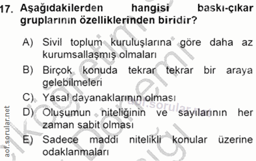 17. soru: Aşağıdakilerden hangisi baskı-çıkar gruplarının özelliklerinden biridir? A) Sivil toplum kuruluşlarına göre daha az k…
