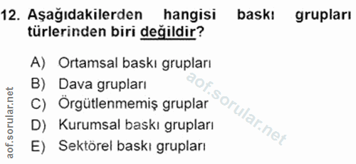 12. soru: Aşağıdakilerden hangisi baskı grupları türlerinden biri değildir? A) Ortamsal baskı grupları B) Dava grupları C) Orgü…