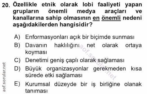20. soru: Özellikle etnik olarak lobi faaliyeti yapan grupların önemli medya araçları ve kanallarına sahip olmasının en önemli…