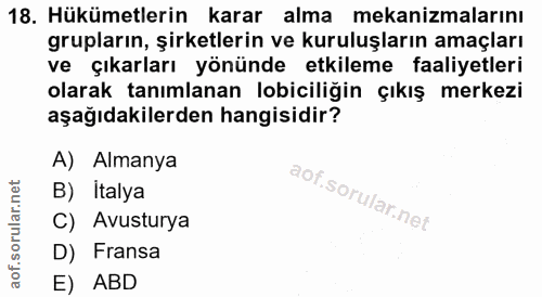 18. soru: Hükümetlerin karar alma mekanizmalarını grupların, şirketlerin ve kuruluşların amaçları ve çıkarları yönünde etkileme…