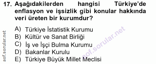 17. soru: Aşağıdakilerden hangisi Türkiye'de enflasyon ve işsizlik gibi konular hakkında veri üreten bir kurumdur? A) Türkiye I…