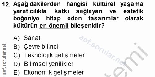 12. soru: Aşağıdakilerden hangisi kültürel yaşama yaratıcılıkla katkı sağlayan ve estetik beğeniye hitap eden tasarımlar olarak…