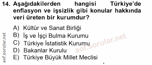 14. soru: Aşağıdakilerden hangisi Türkiye'de enflasyon ve işsizlik gibi konular hakkında veri üreten bir kurumdur? A) Kültür ve…