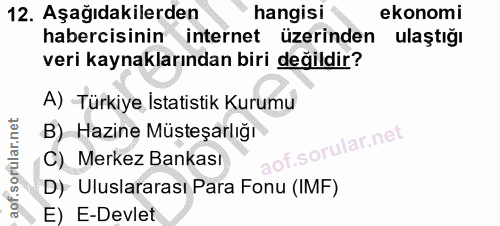 12. soru: Aşağıdakilerden hangisi ekonomi habercisinin internet üzerinden ulaştığı veri kaynaklarından biri değildir? A) Türkiy…