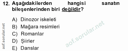 12. soru: Aşağıdakilerden hangisi sanatın bileşenlerinden biri değildir? A) Dinozor iskeleti B) Mağara resimleri C) Romanlar D)…