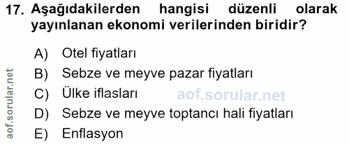 17. soru: Aşağıdakilerden hangisi düzenli olarak yayınlanan ekonomi verilerinden biridir? A) Otel fiyatları B) Sebze ve meyve p…