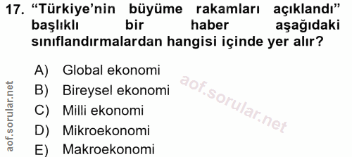 17. soru: "Türkiye'nin büyüme rakamları açıklandı" başlıklı bir haber aşağıdaki sınıflandırmalardan hangisi içinde yer alır? A)…